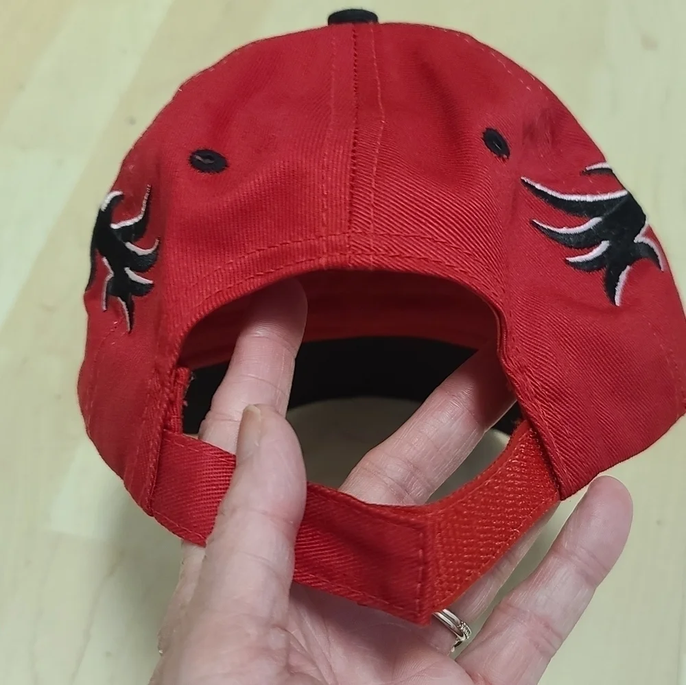 Vintage flames SeaWorld baseball hat